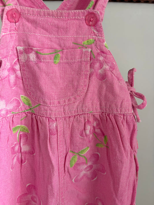 Pumpkin Patch Shortalls