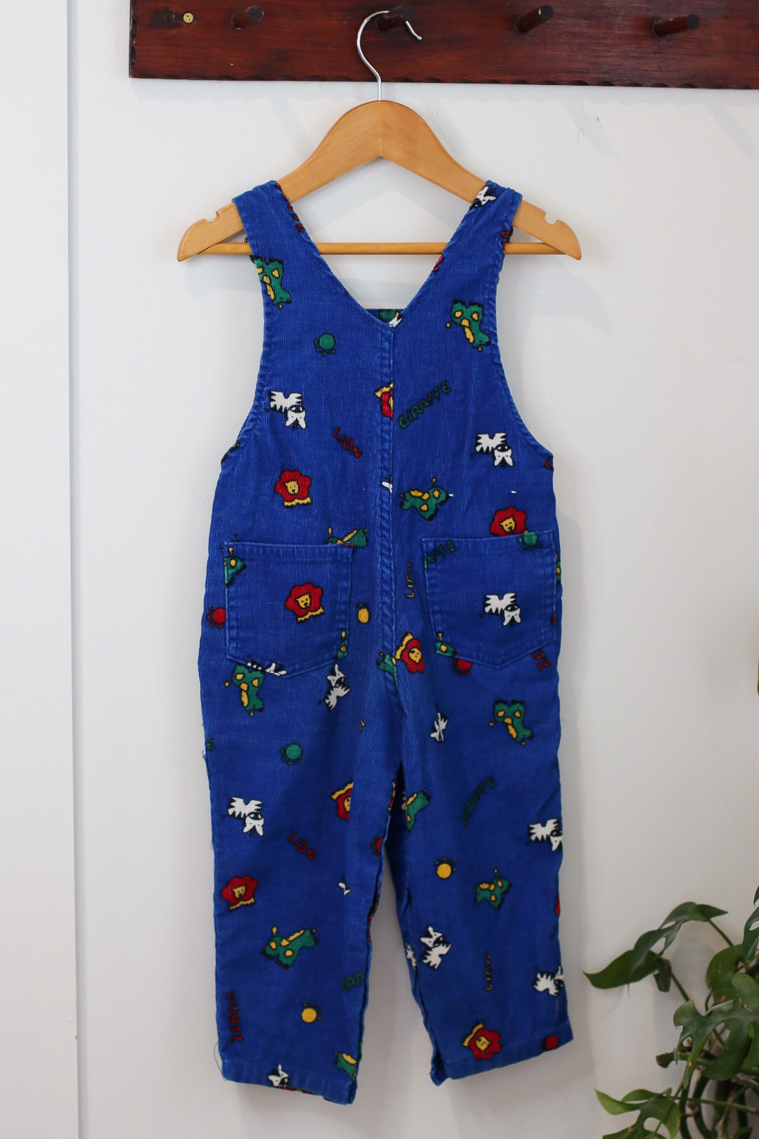 Carter's Overalls