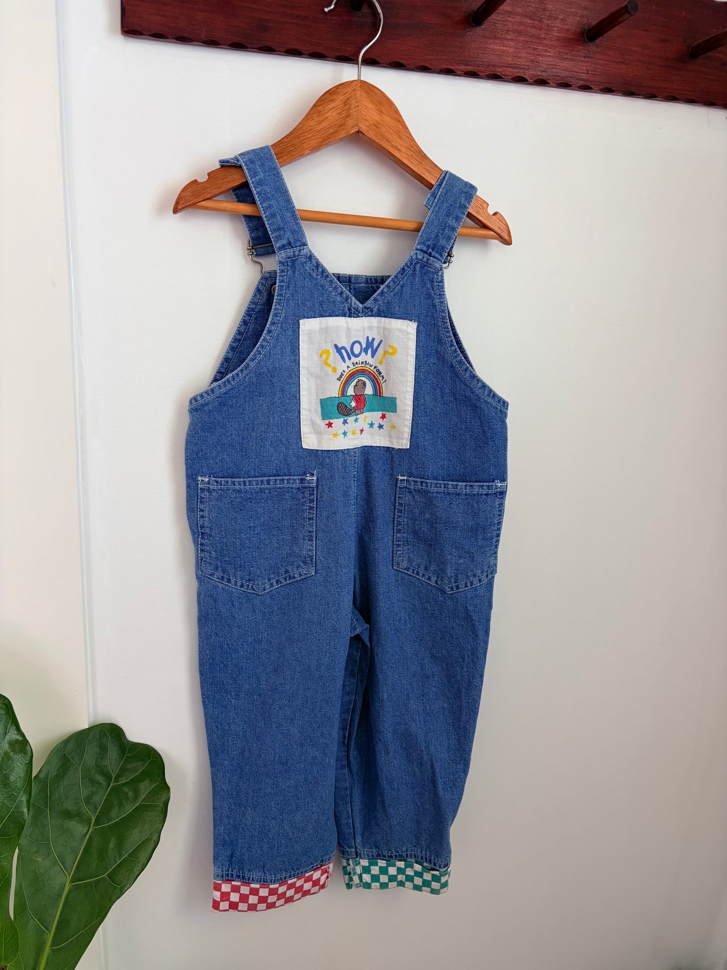 Ladybird Overalls