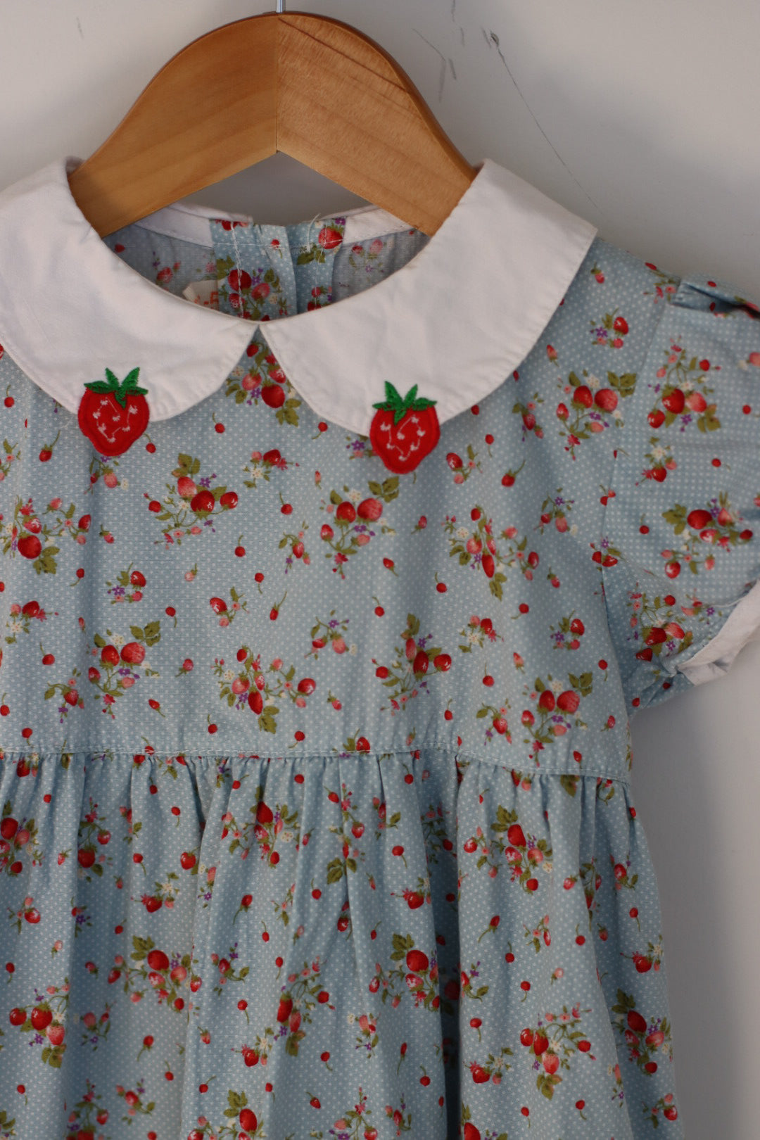 Strawberry Dress