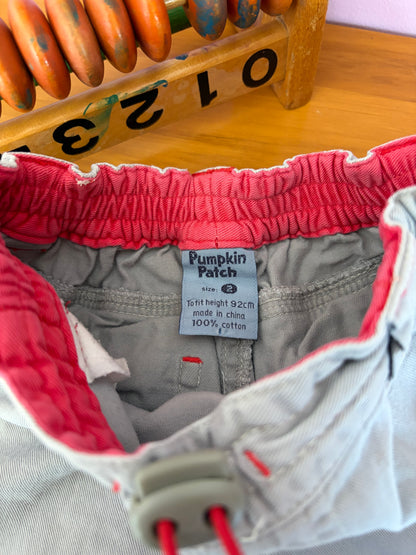 Pumpkin Patch Shorts