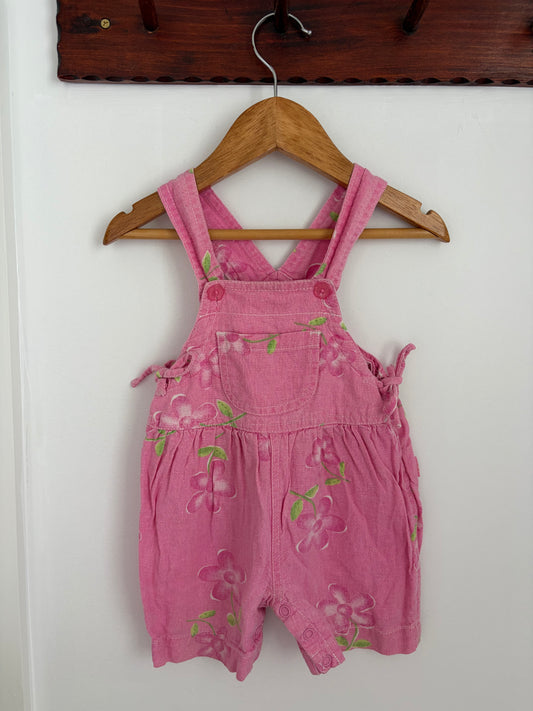 Pumpkin Patch Shortalls