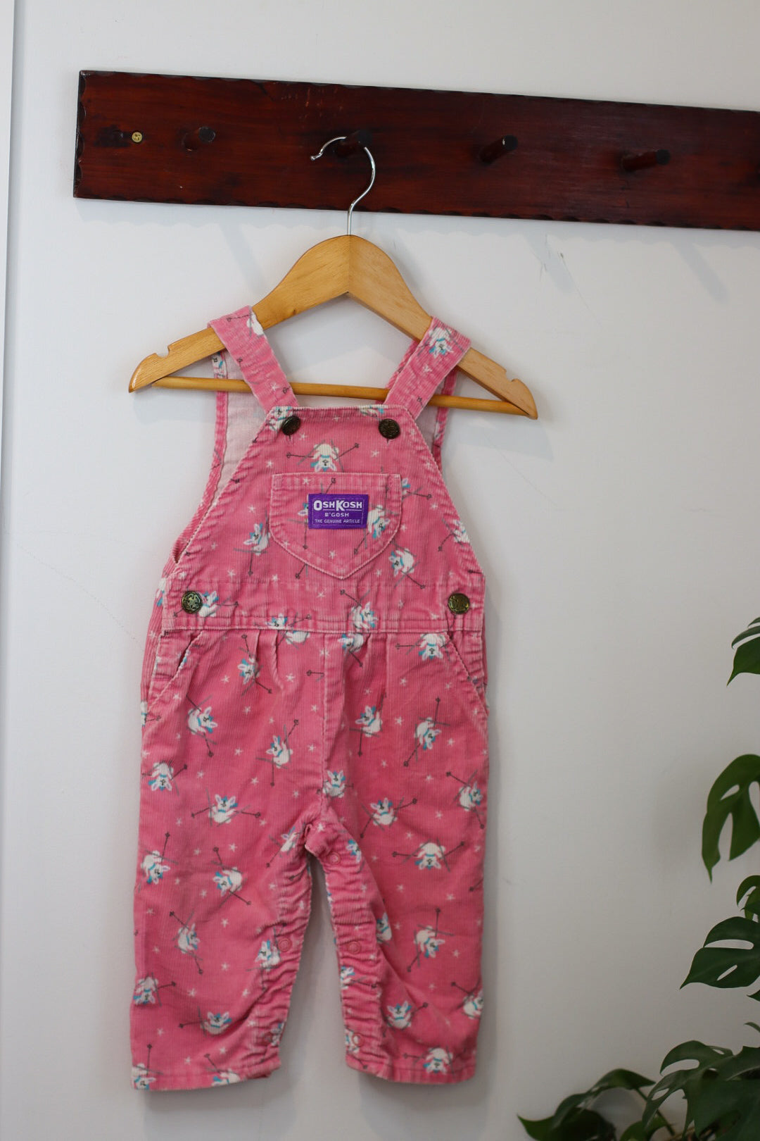 Oshkosh Cord Overalls