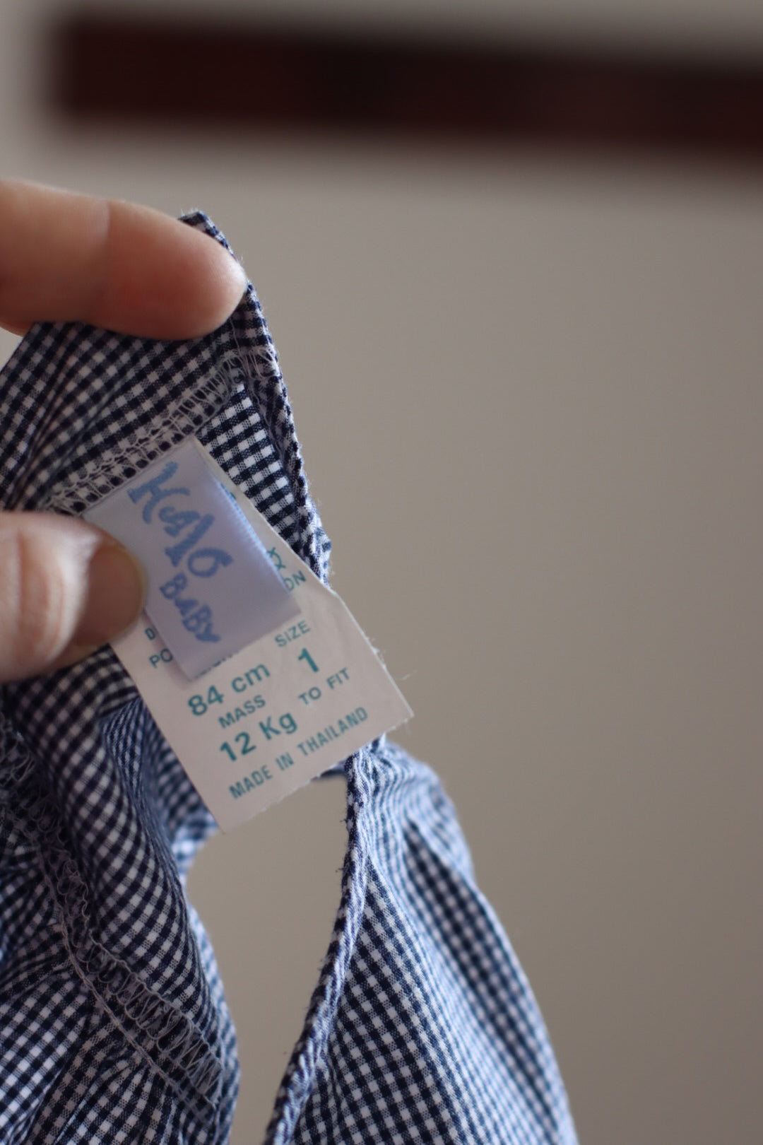 Vintage Gingham Dress